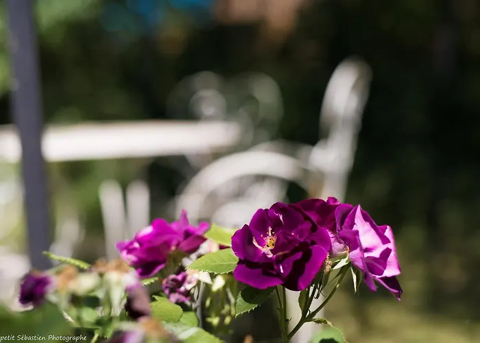 Le Petit Flo Гостевой дом 4*